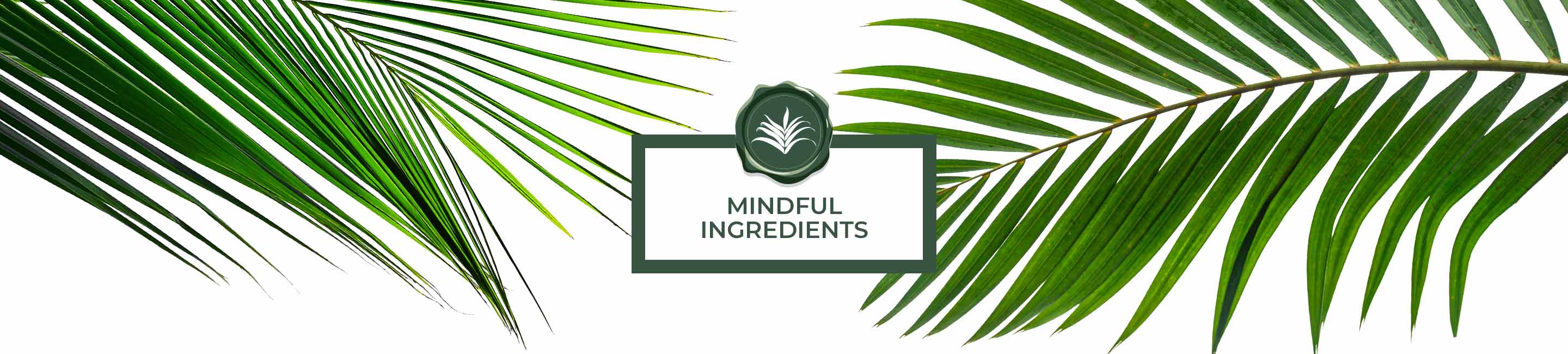 Mindful Ingredients Conscious Beauty Seal with a palm background
