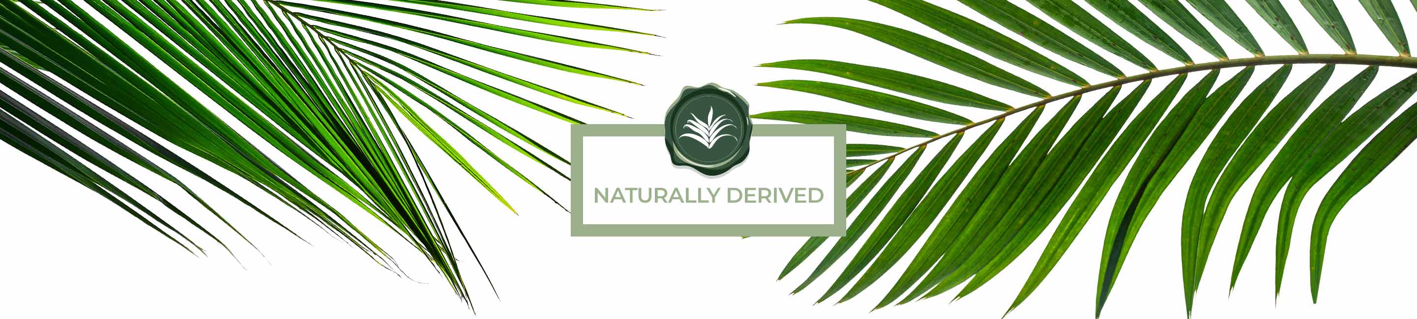 Naturally Derived Conscious Beauty Seal with a palm background
